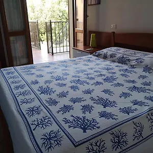 Holiday In Sardinia In Pula, At The Sea Of ​​nora Pula